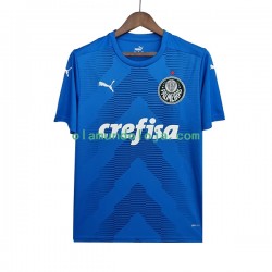 Camisola Palmeiras Guarda-redes Homem Equipamento Segundo 2022-2023 Manga Curta
